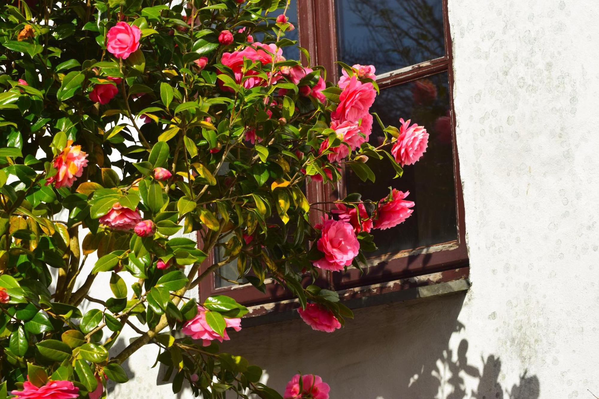 Hustyns Hotel Saint Wenn Exterior foto